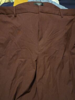 Banana Republic Factory, Sz 20, Maroonish Dress Pants